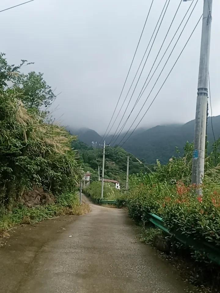 《秋序-龙眠山》

枫林红叶
 

金风染远岫，

落木逐流年。

静待霜华至，