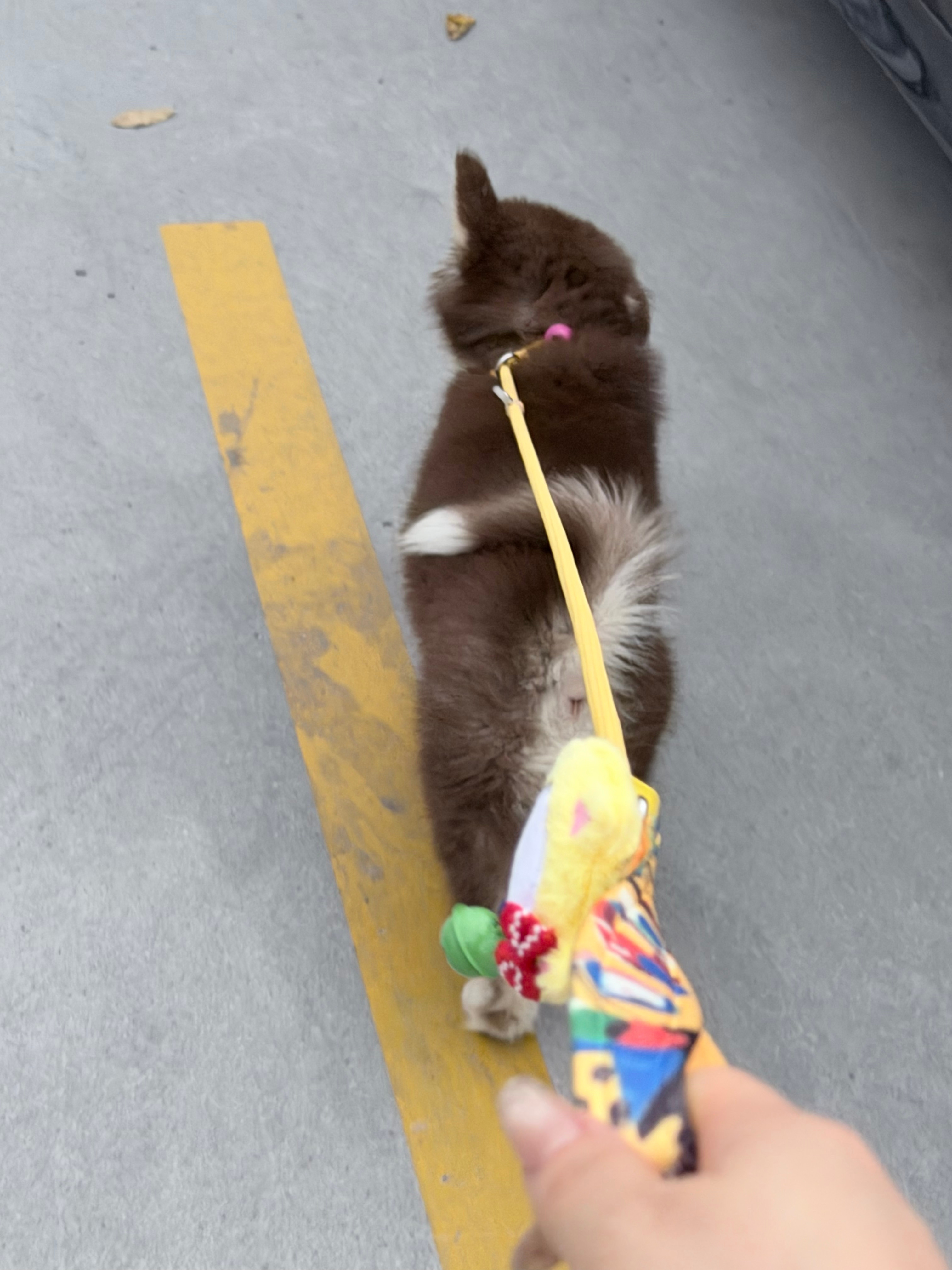 溜溜弯儿😁 漯河·清樾咖啡(西城万达广场店)