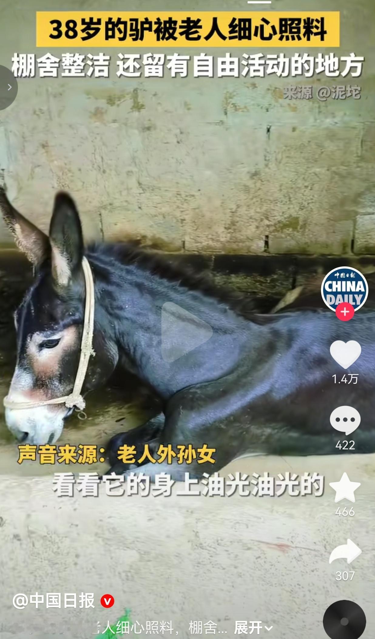 很多人不知道，毛驴普遍寿命也就二十多年，活到38岁，相当于人类的百岁老人。

这