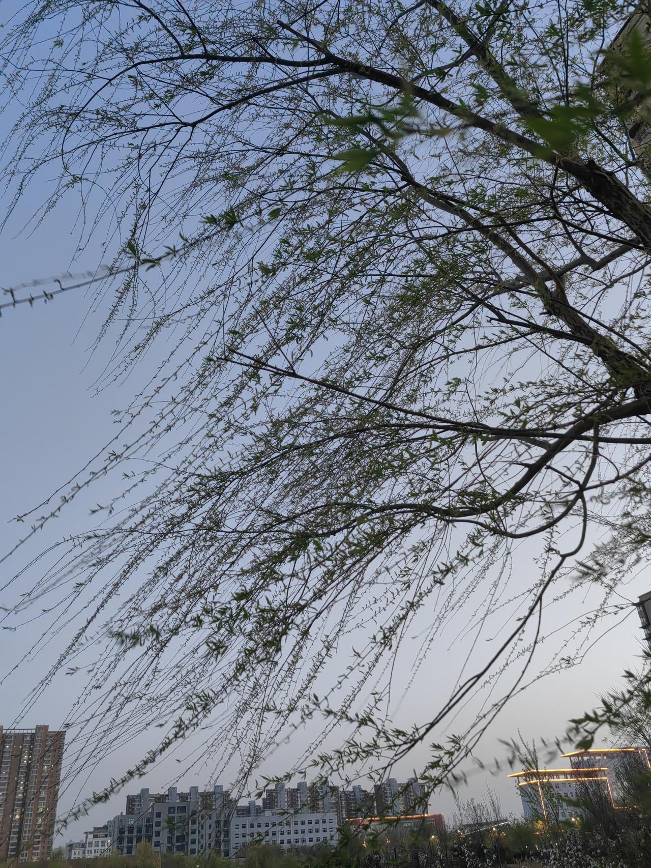 早上先喝碗热乎羊肠汤，配个刚出炉的火烧，浑身都舒坦。该上班上班，该忙活忙活，不拖