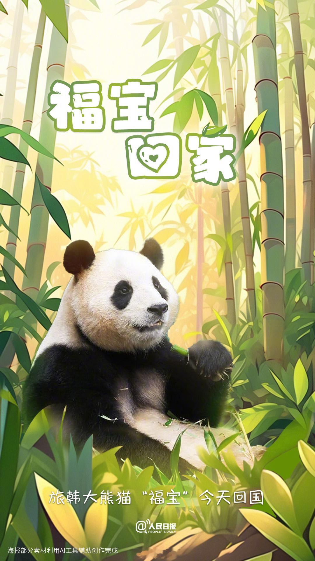 #福宝#欢迎福宝回家，愿福宝回家顺利，永远都是快乐幸福的福公主～[抱一抱][抱一