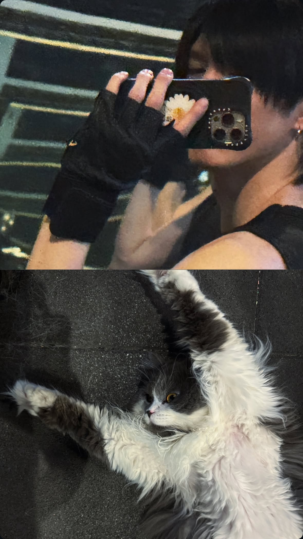 aouboom 继续rua猫💪🏻 