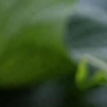 正能量[超话]正能量 坚持做自己，就要不随波逐流，拥有独立思考的能力，拥有坚定坚