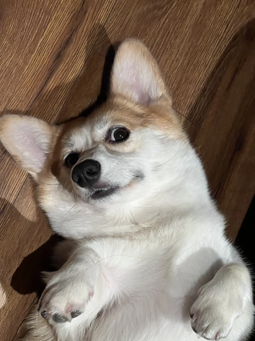 8️⃣月🥰