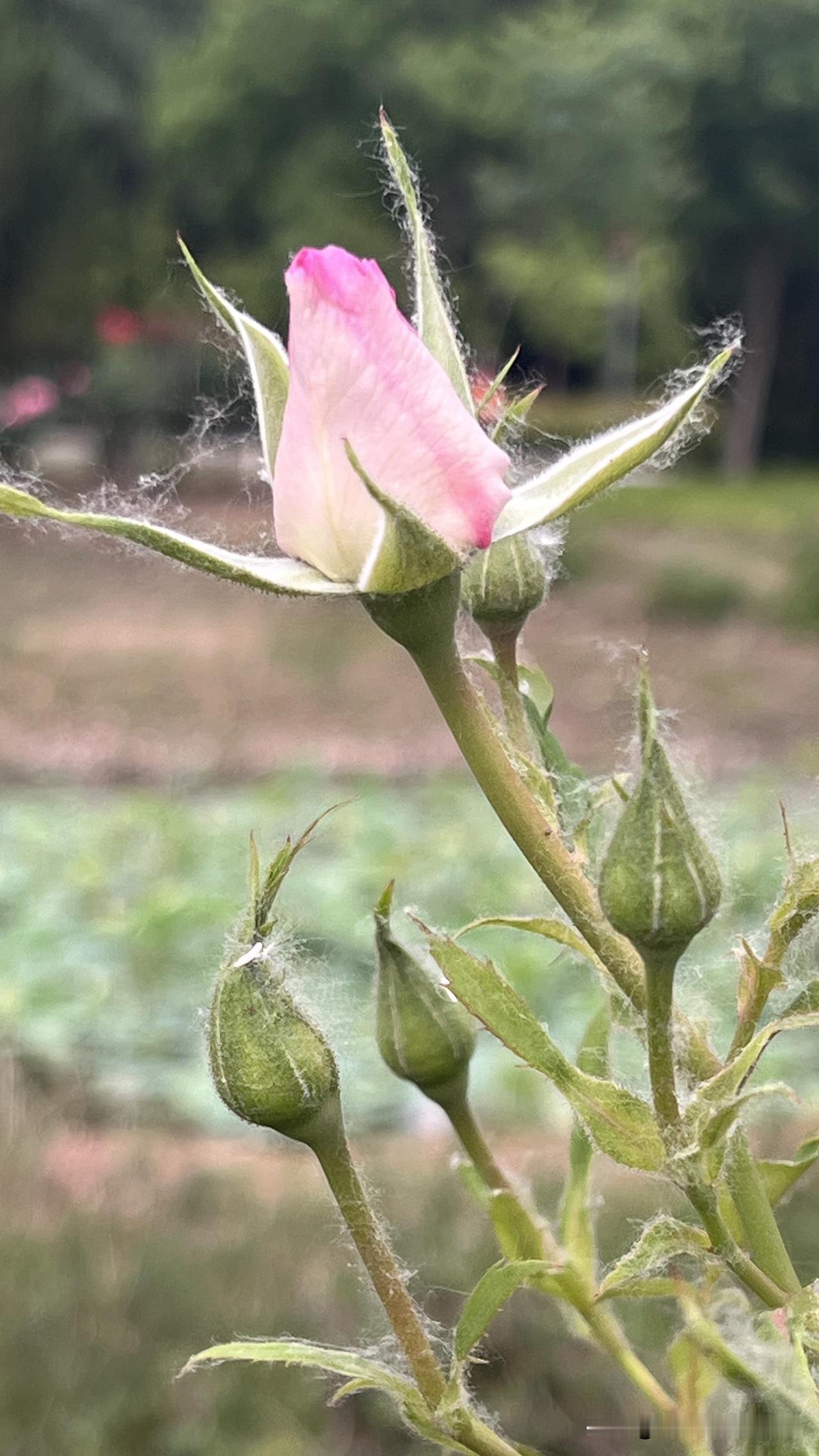 说到底，做人，就是处理两件事：如何对自己，如何对别人。

很多人把成败归结于机遇