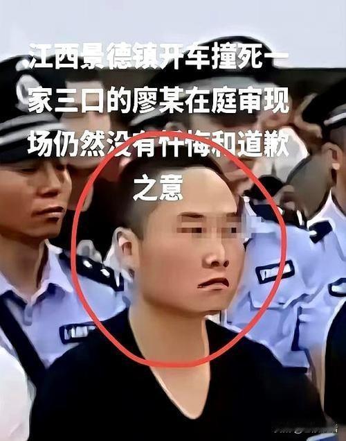 景德镇廖某宇为发泄情绪飙车撞死一家3口被判死缓引争议。

案件的大致经过：
20