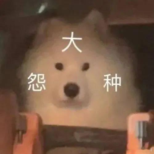 狠狠心，咬咬牙，买了一张新的相机内存卡现在内存卡的价格飙升，以前的两张用用删删，