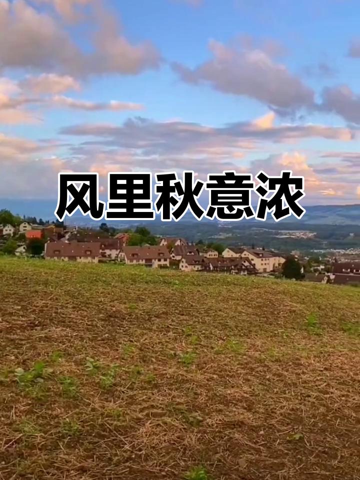 三伏清晨，忽闻秋风气息

[玫瑰][心][玫瑰]

立秋了，虽说还在三伏天，可清