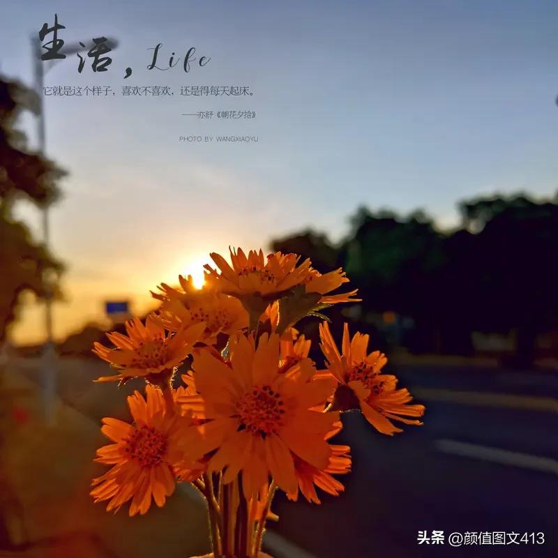 人生无常,活着的意义是什么?人生无常，恰是活着的意义所在。正因为一切皆在流动与变