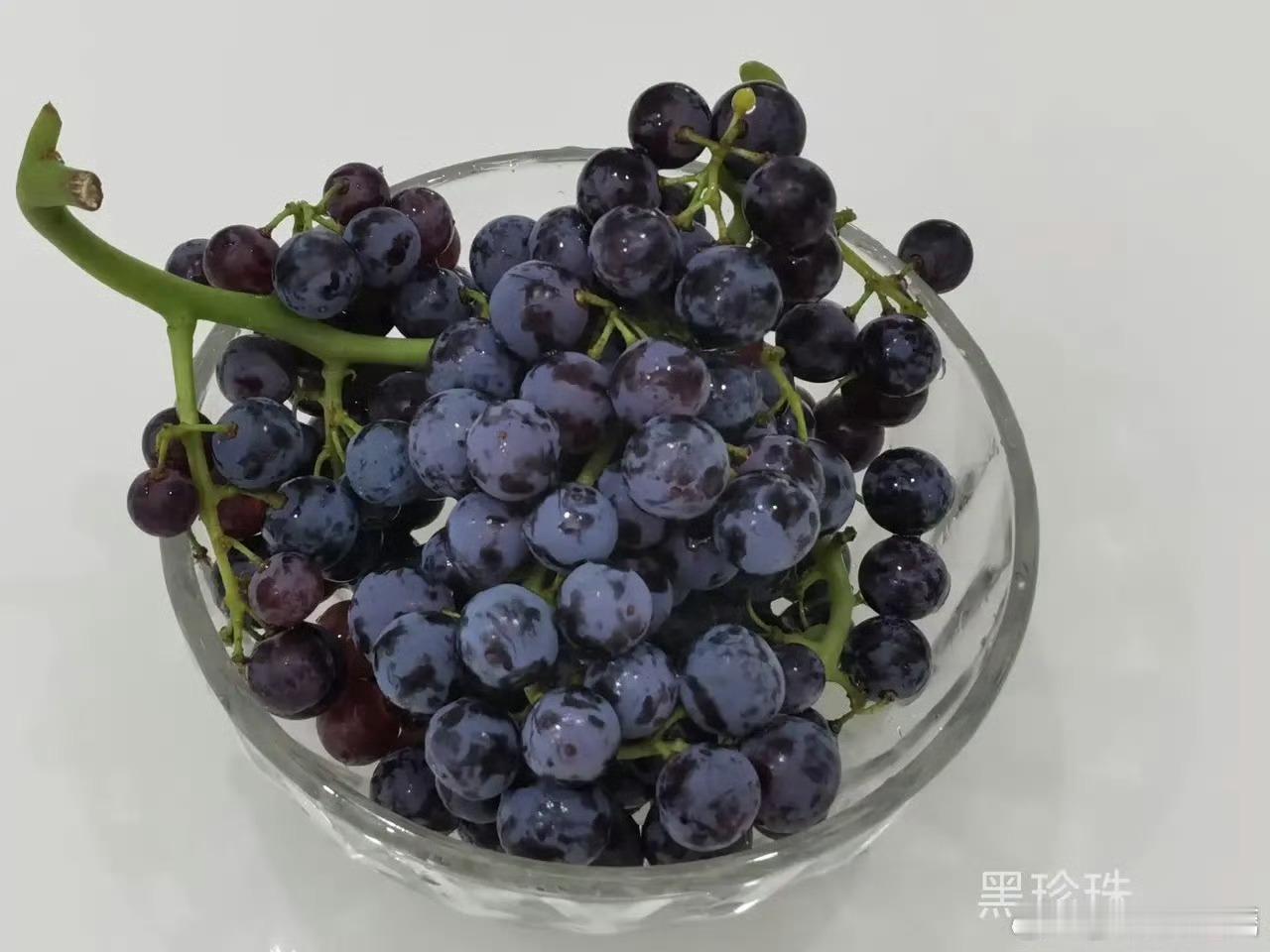 巨峰葡萄 白月光，这种葡萄是我小时候最爱吃的，也是我目前的白月光是有那种葡萄味的