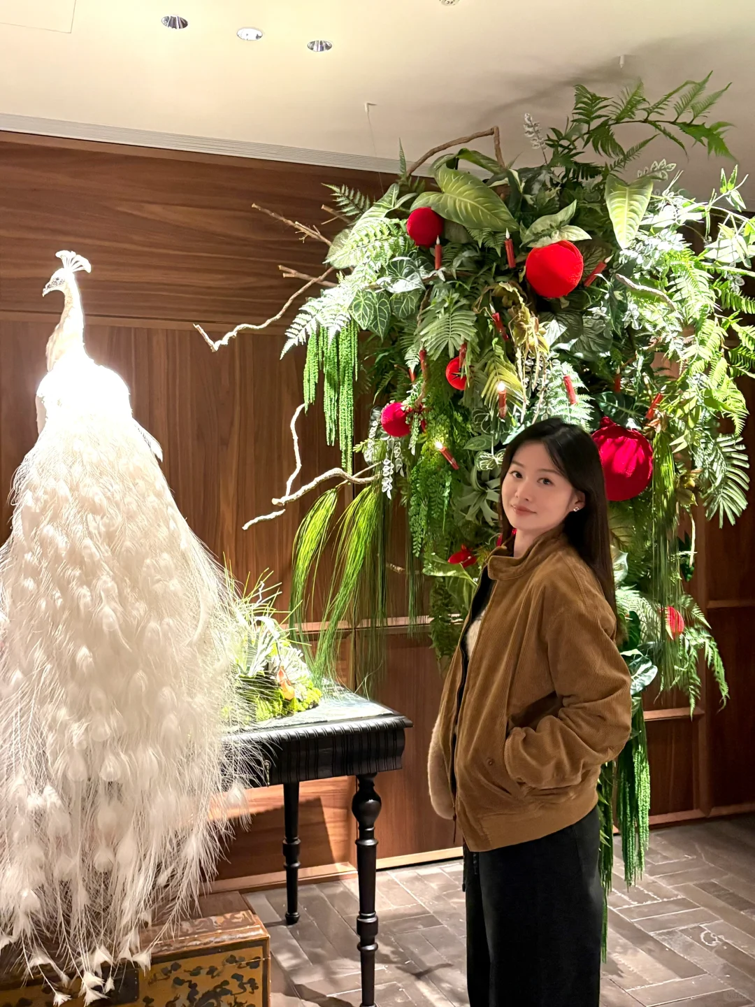 冬至 路过一颗mistletoe