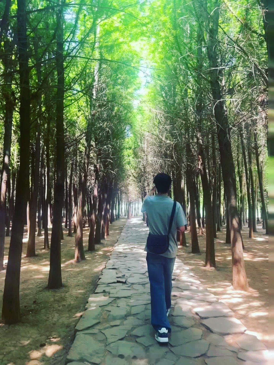 人生本就是一场自愈的旅程，经历过迷茫，也熬过委屈，慢慢学会和生活和解，和自己释怀