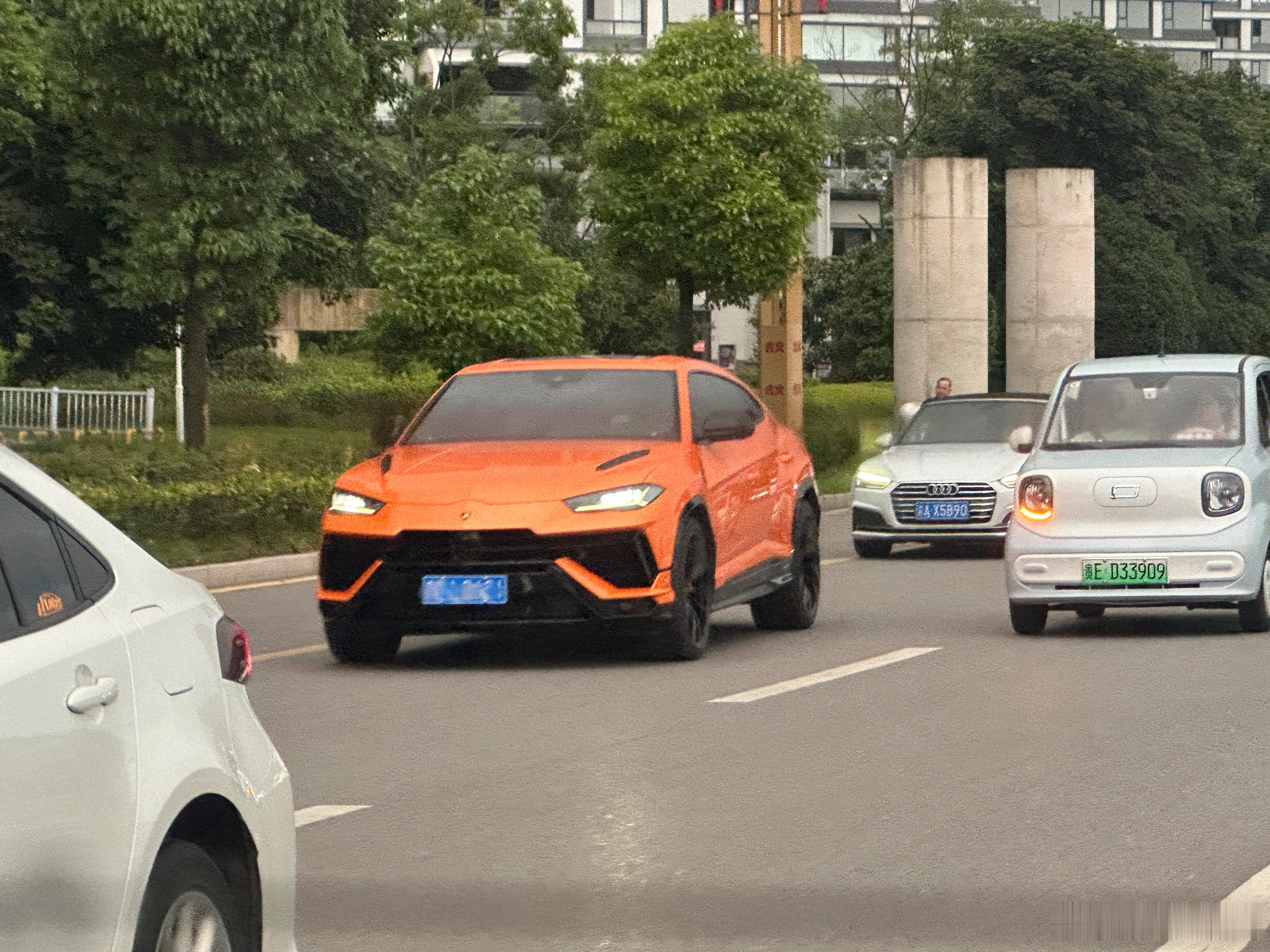 兰博基尼urus 是人群中亮眼的牛牛～mermer🦬 兴义