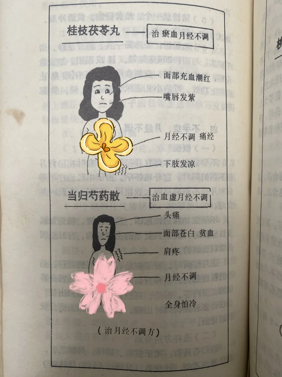 谁能想到，老一辈的中医书这么全面🔥