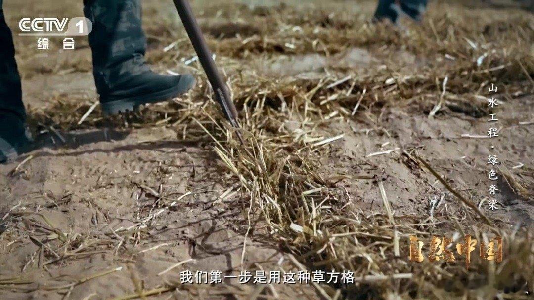 治沙界又添一员猛将内蒙古巴彦淖尔沙漠藏妙招！光伏板既发电又遮荫保水，搭配草方格与