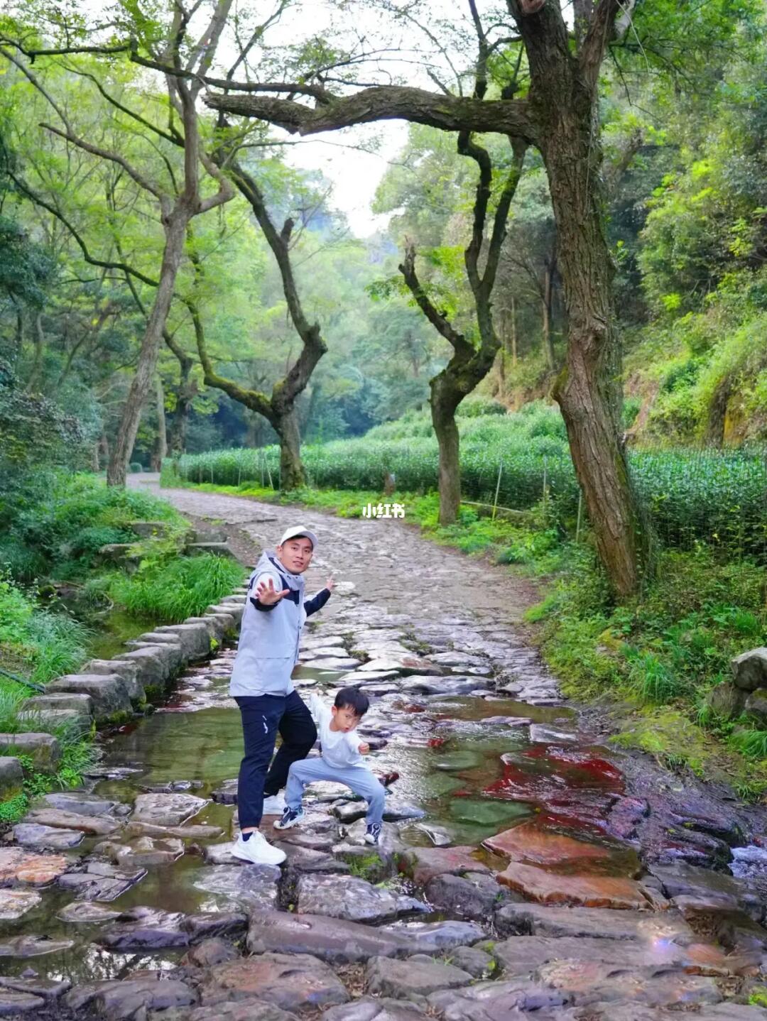 被狠狠治愈住‼杭州最养眼的徒步路线