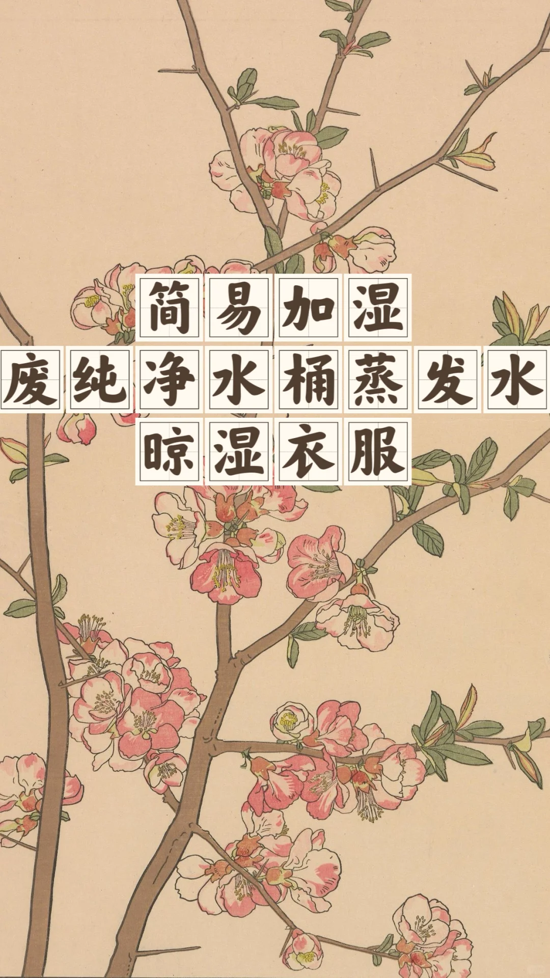 省钱经672:极度干燥下的加湿方法，防皮肤干