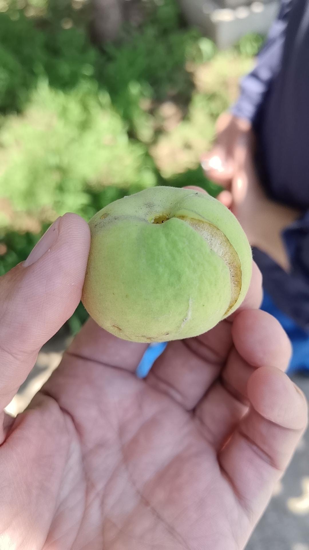 我始终相信，一切高贵的情感都羞于表白，一切深刻的体验都拙于言辞。
我觉得，真正在