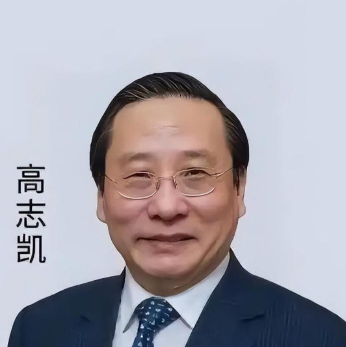 高志凯教授把高市早苗借台海挑衅中国的事情，定格为一个名称“高市早苗事件”，他表示