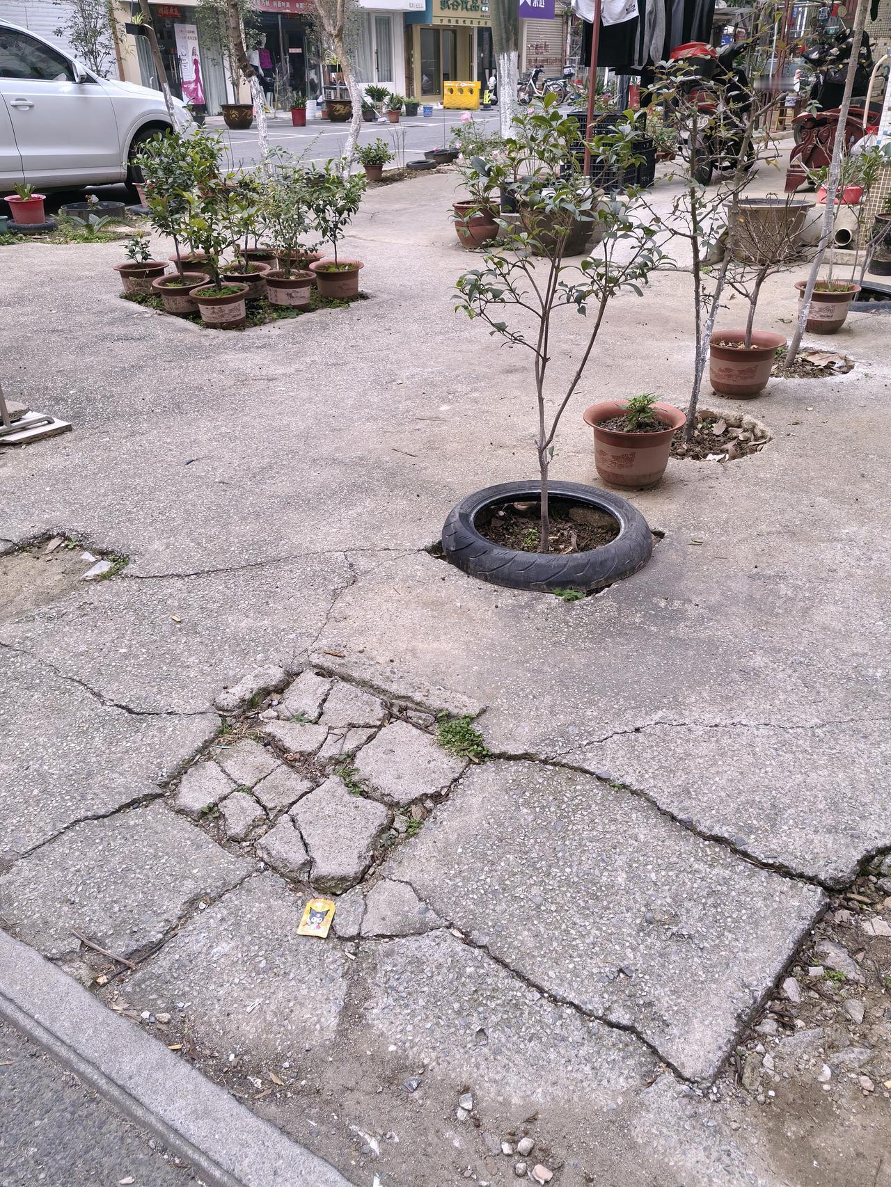 我们这个老小区业主占车位的手段层出不穷，有种树种花的、有安装晾衣架的、有放鞋架的