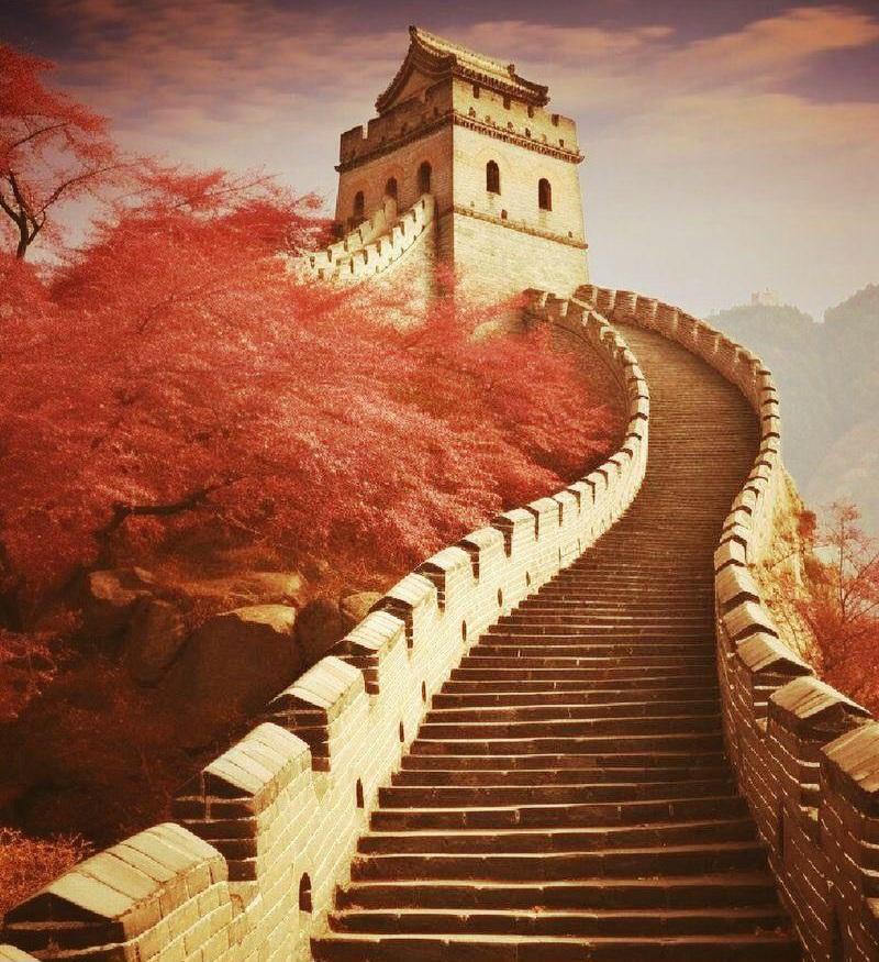 我认为应该。因为孩子还小，心智还不成熟，自控能力也不足于掌控自己一切行为。孩子压