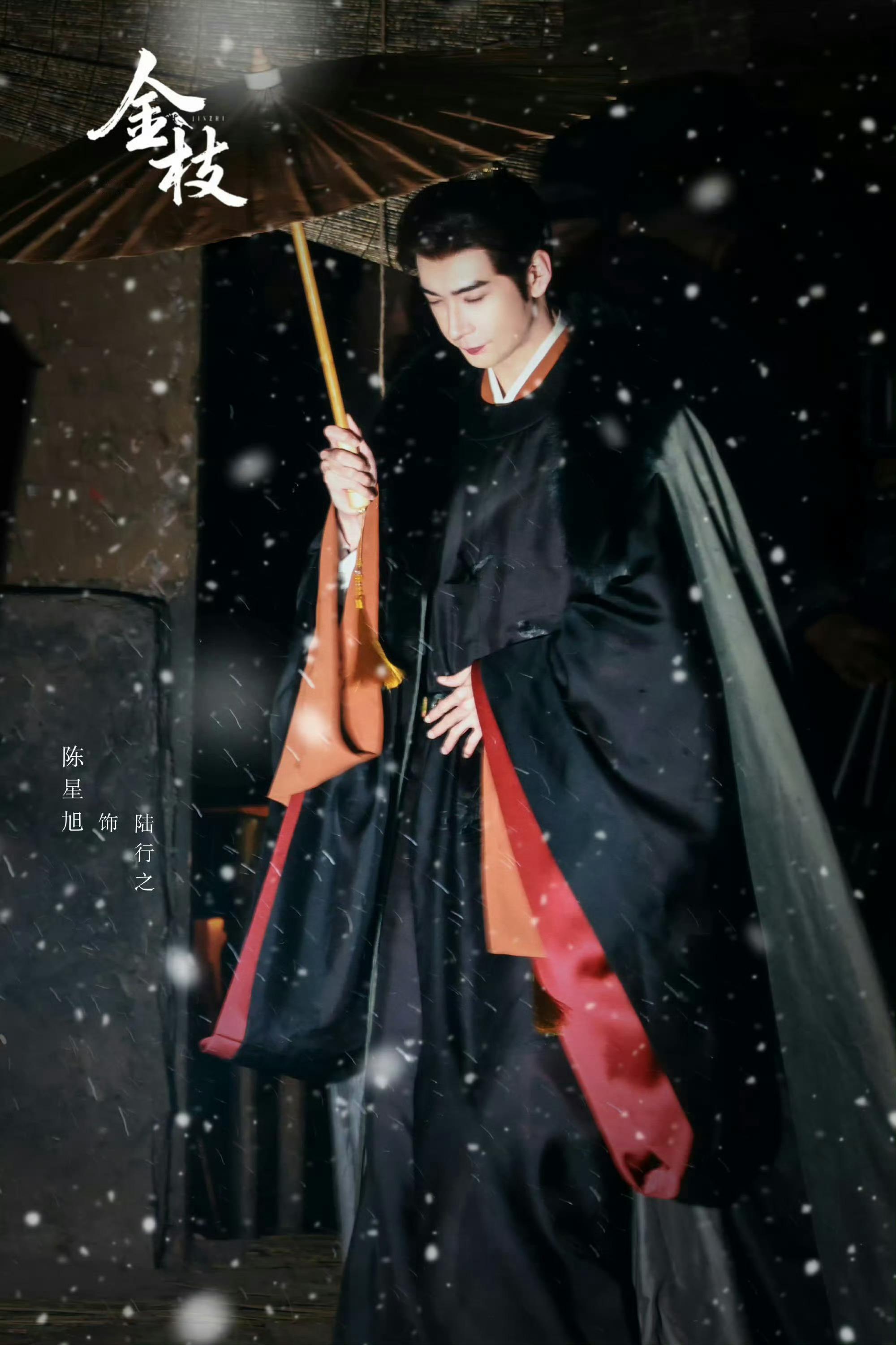 陈星旭金枝雪夜撑伞路透 新剧路透来啦雪夜撑伞太有氛围感啦！权谋届最严厉的父亲终于