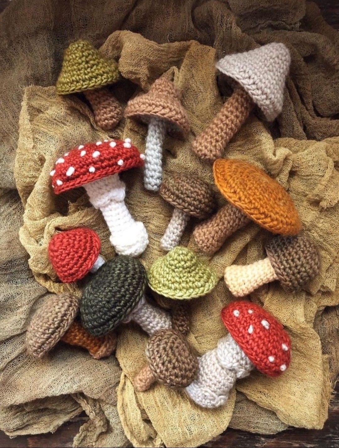 蘑菇蘑菇🍄