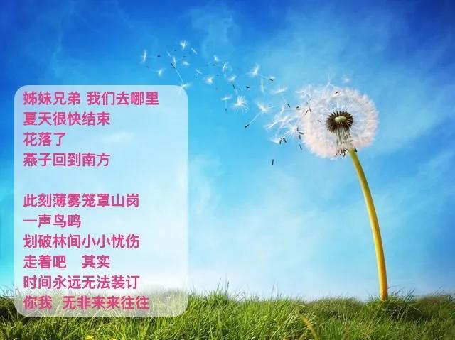 听懂了鸟语虫鸣
与泥土
便近出一层
．
招招手
云影仿佛近一程
草尖上
露水跟着