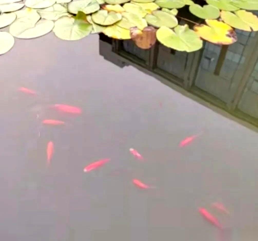 80后在还房贷，90后在拼命还房贷，00后已经开始看房了。
你说这像不像一个设定