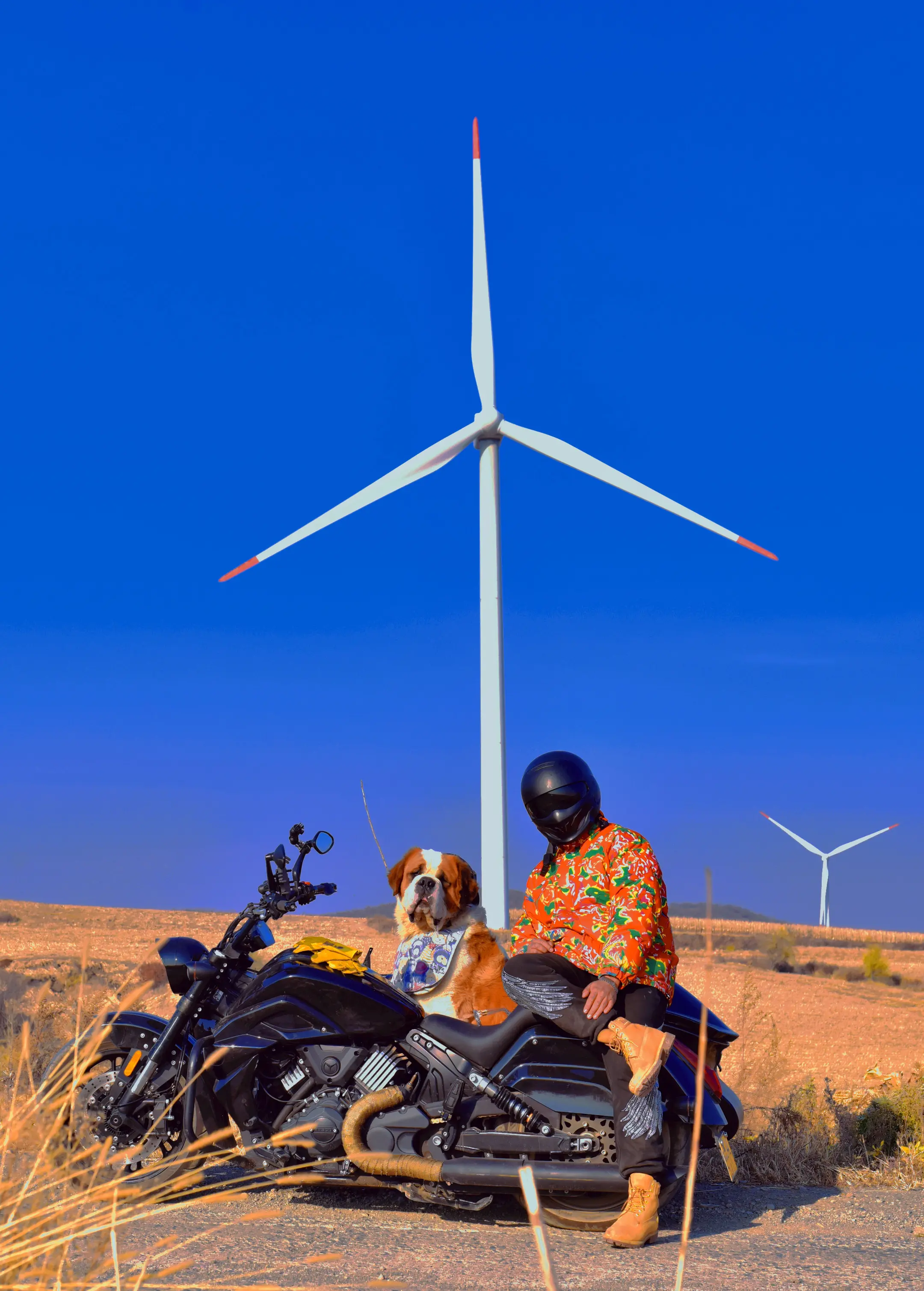 我想跟我喜欢的女人每天一同起床，沐浴清晨第一缕阳光。