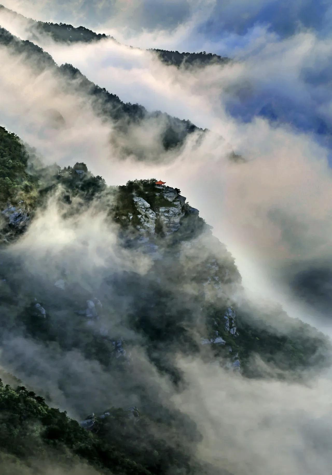 【高贵不高贵要看现实，不能看自己的感觉；上去了不高贵也是高贵，下来了高贵也是不高