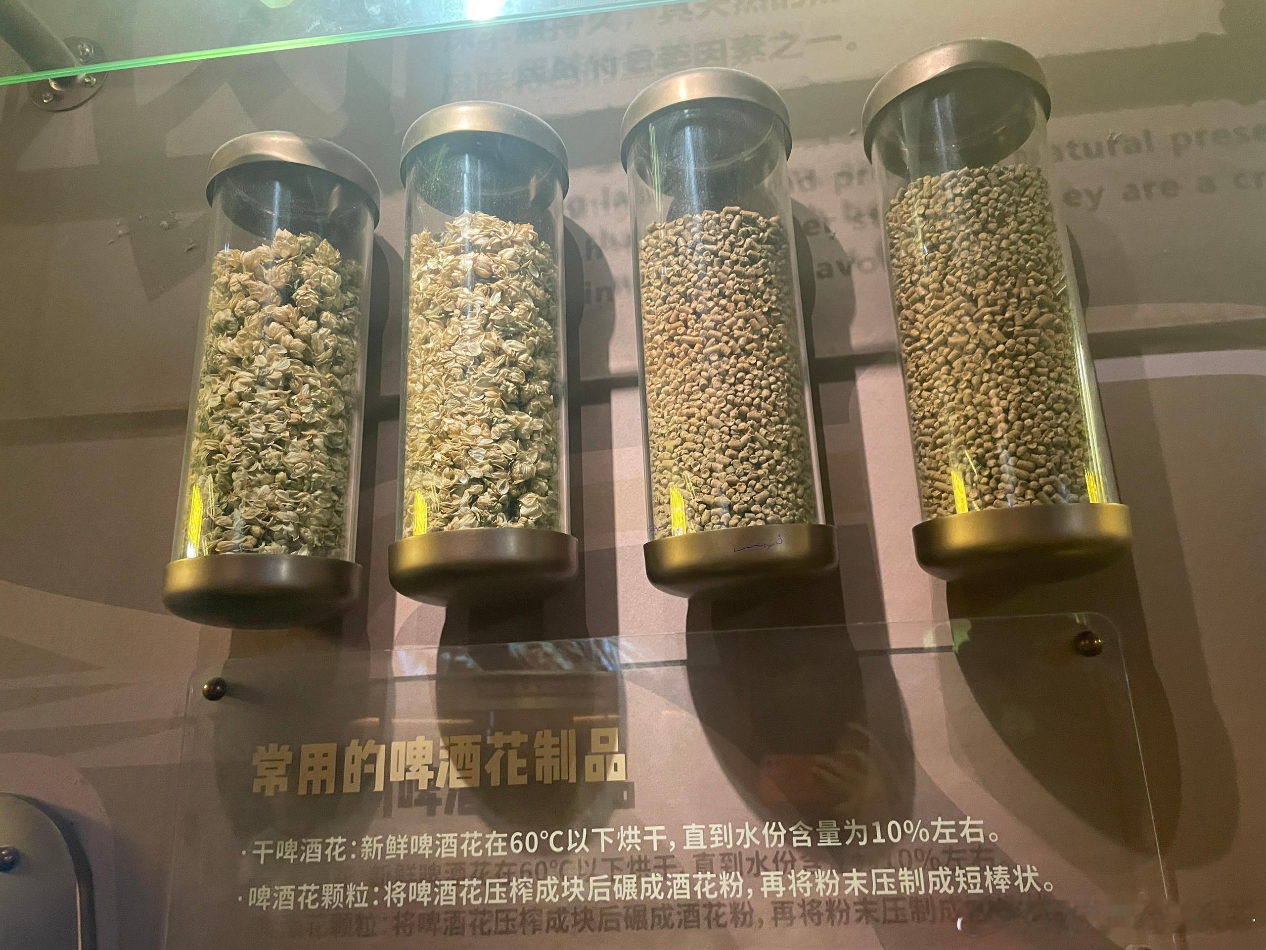 生活手记从1903年的老厂房到今天的现代化流水线，每一滴金黄都沉淀着青岛这座城市