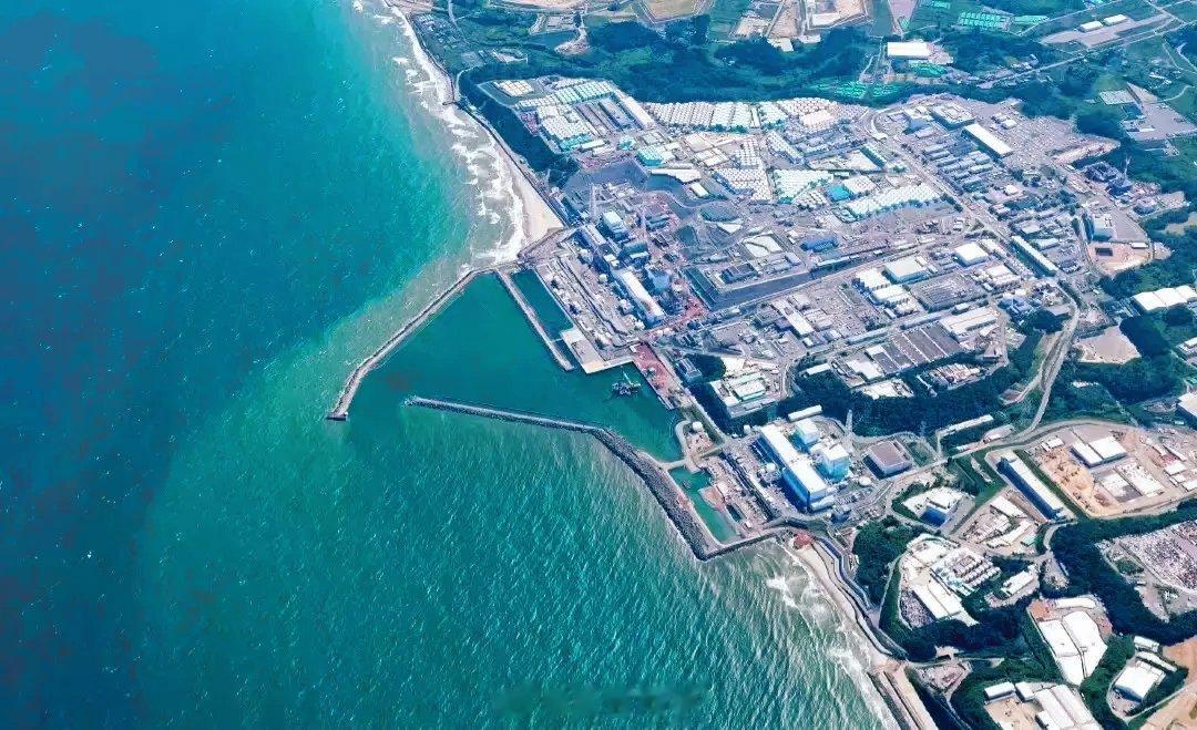 #核污水排海最严重影响是致畸#一个在日华人发的帖子。他说作为一个在日华人来说，表