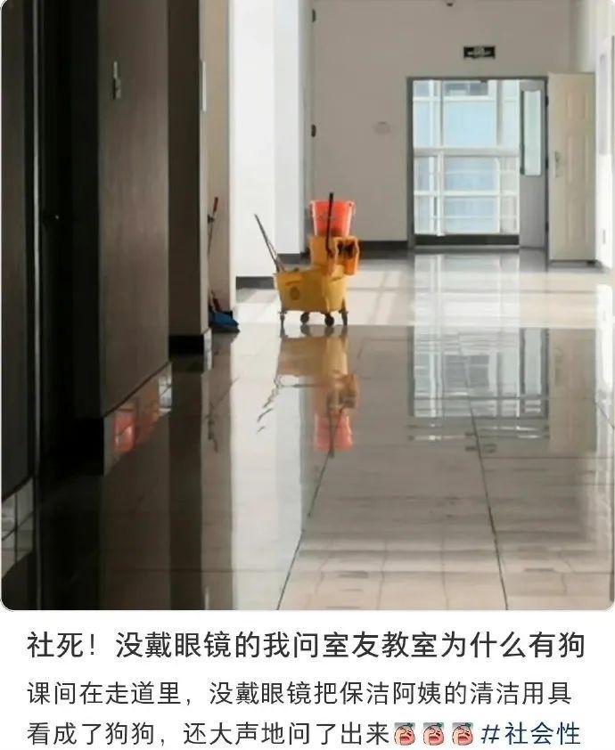 俺觉着，更像小时候骑的木马[捂脸][捂脸]