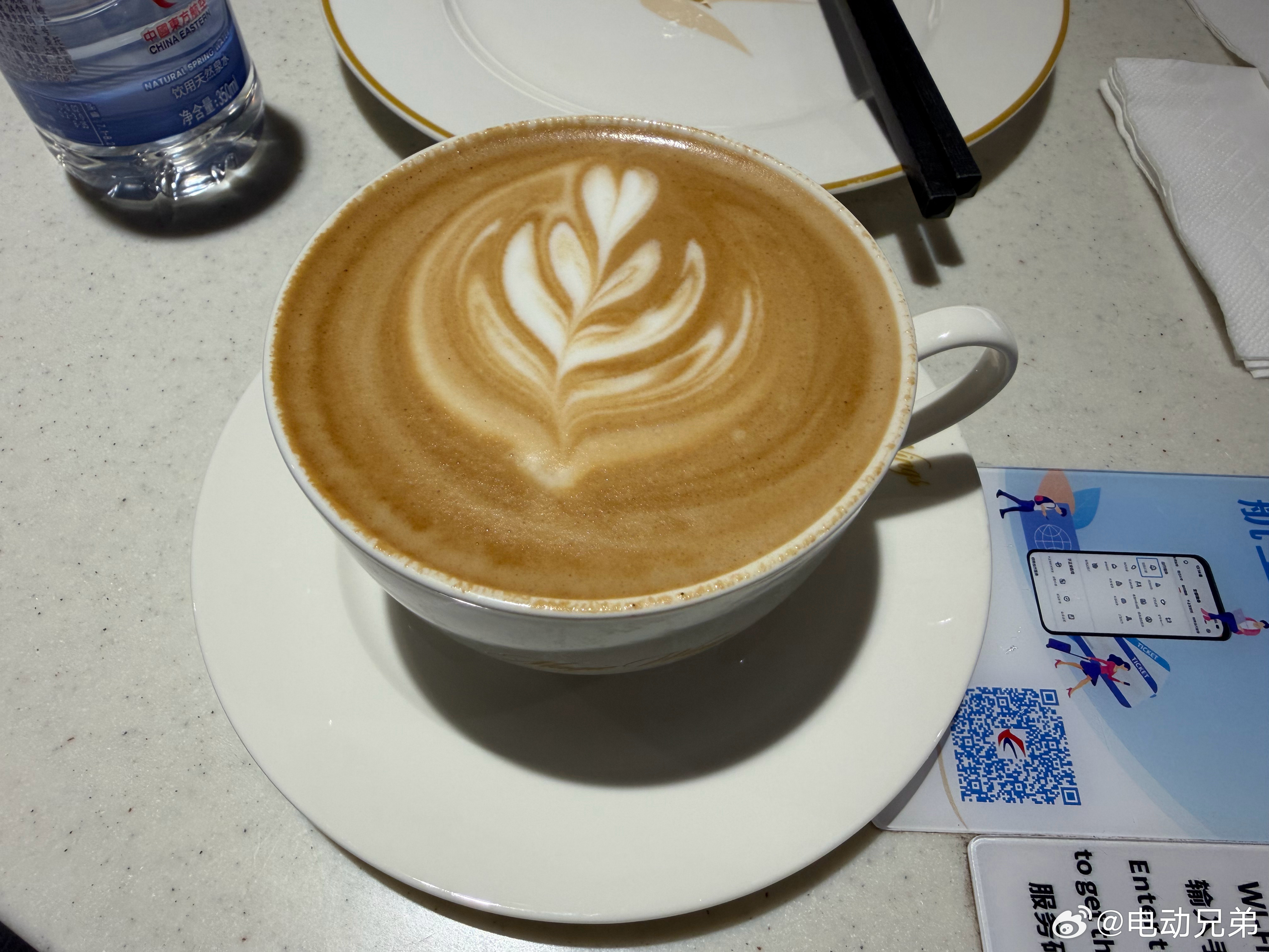 虹桥飞广州，今日份的靠背屏有点小，这种靠背屏就不太行了说实话。电动兄弟