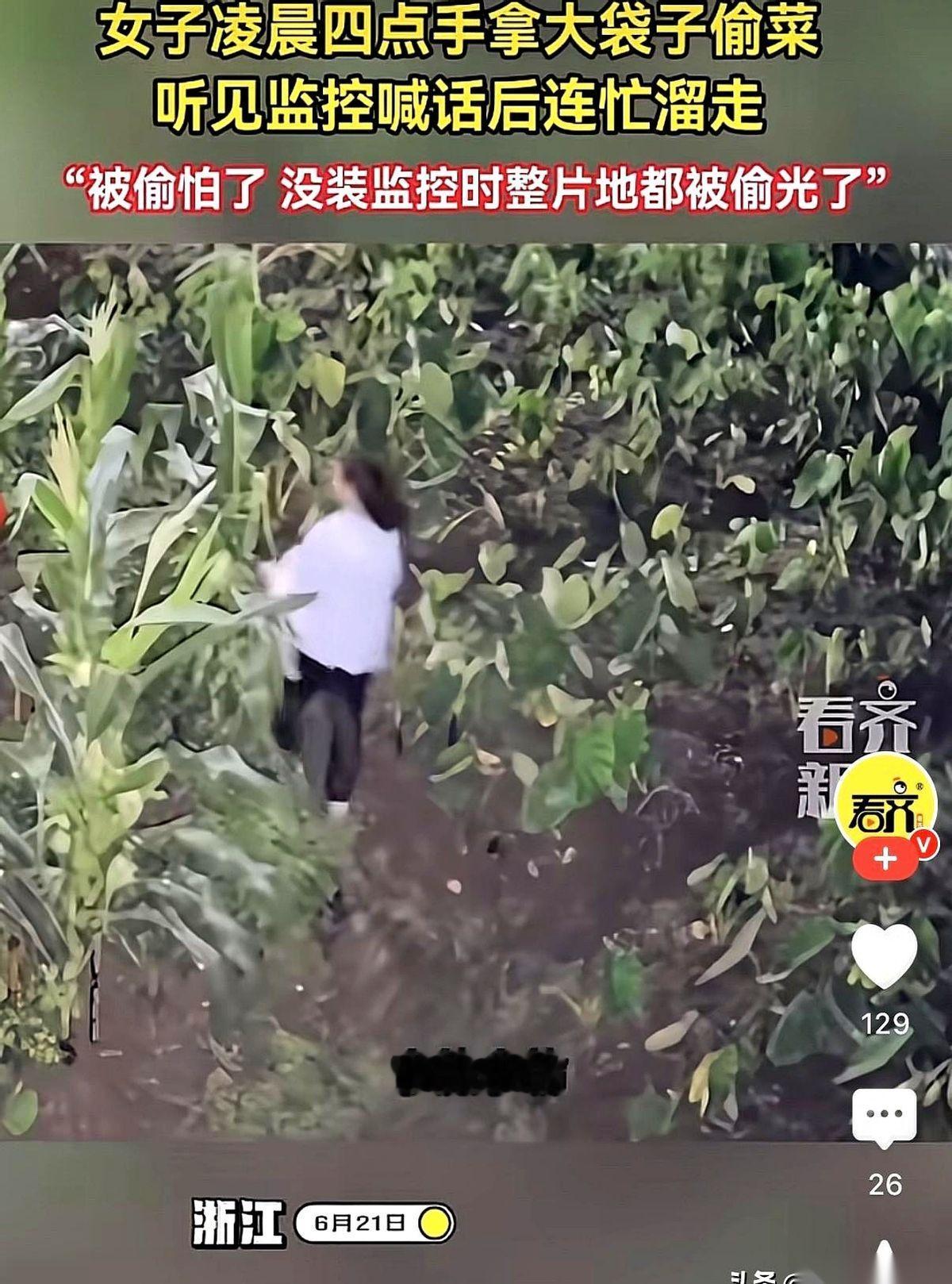 凌晨4点，天都没亮。
你敢信吗？一个女的拎着塑料袋，像逛自家冰箱一样，大摇大摆走