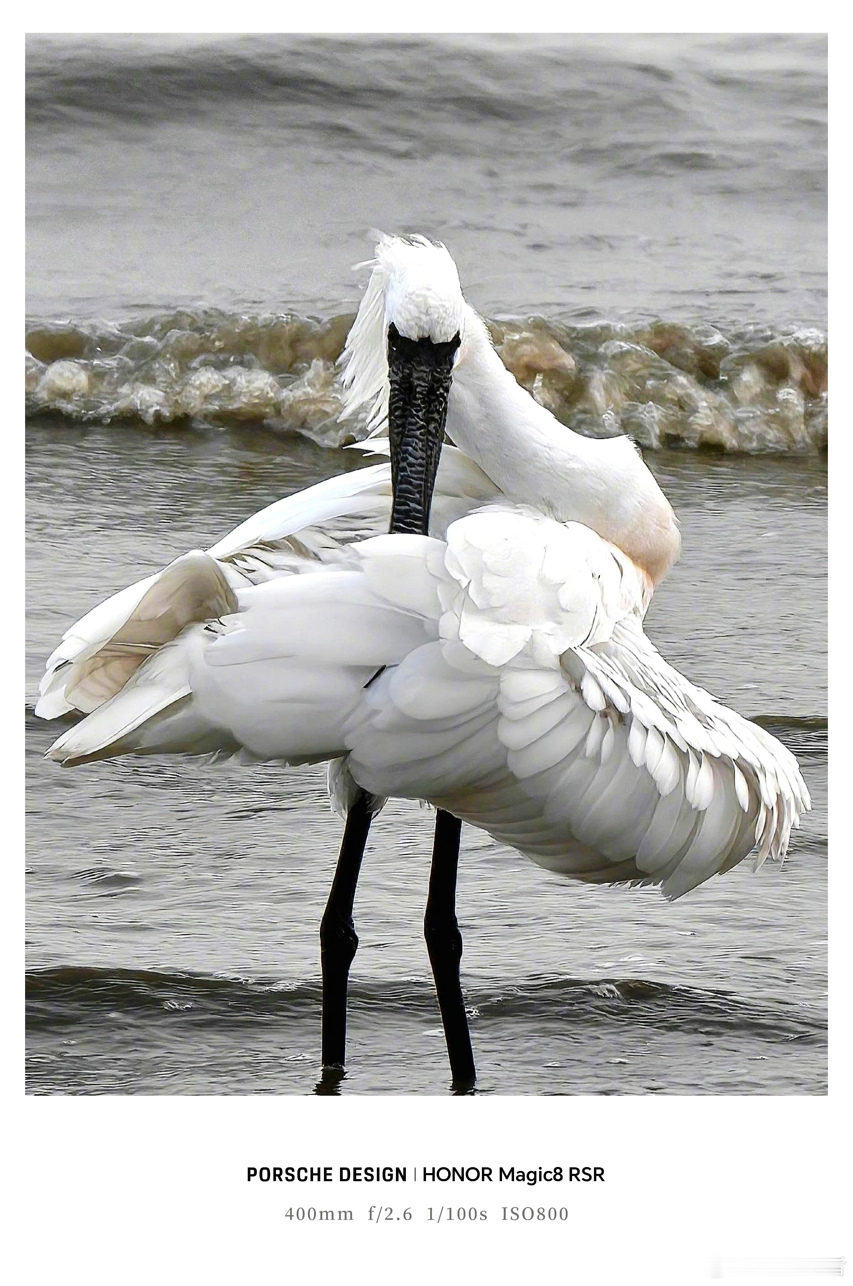 你要先把自己的生命力养起来手机镜头里的每一次对焦,都是在与自然的温柔对视;最动人