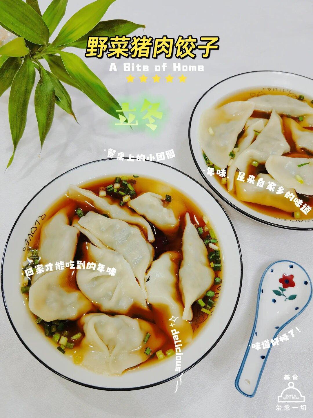 ❄️立冬吃饺子👉来试试野菜猪肉水饺吧！
