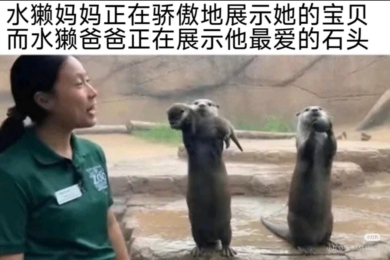塔太和米申be like 