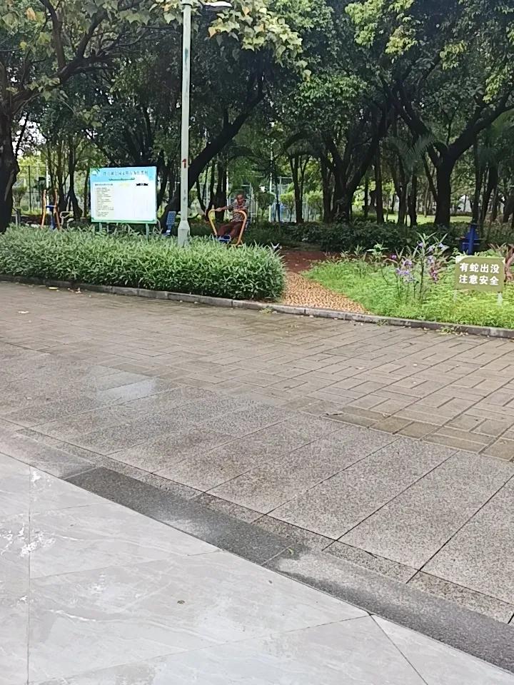 你敢相信吗？那普通的年轻人也做不到，竟然老人家也做到了。