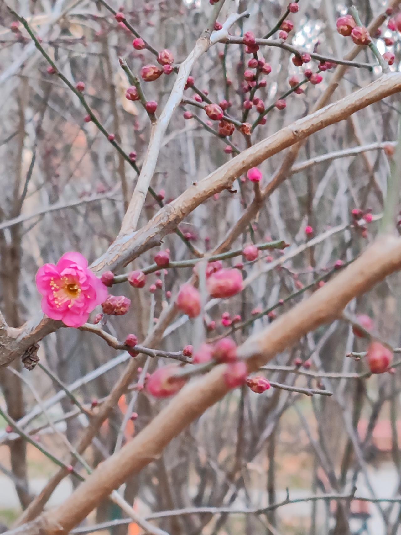 若不缺钱，把父母送进养老院是个不错的选择。在饮食上，养老院的伙食比自己在家做的更