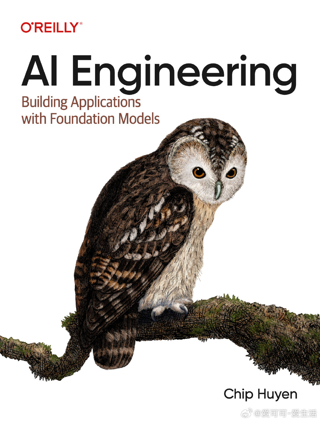 AI工程新标准：《AI Engineering》详解如何将foundation 
