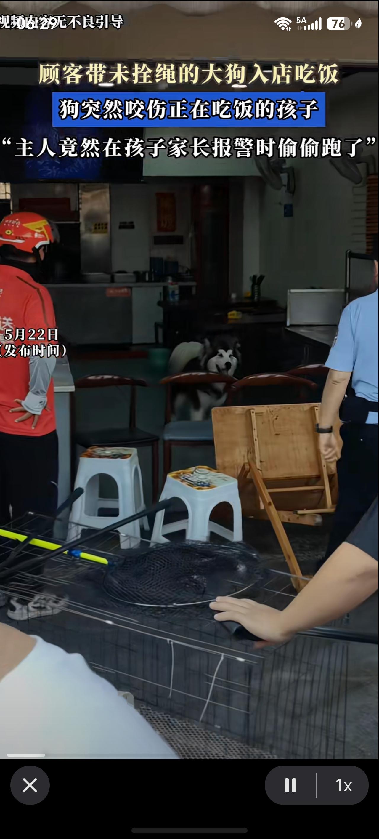 顾客带未拴绳的大狗入店吃饭，

狗突然咬伤正在吃饭的孩子

“主人竟然在孩子家长