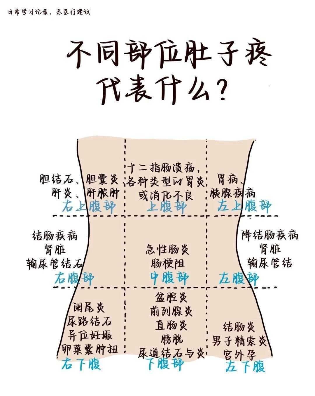 不同部位的肚子疼代表什么？？