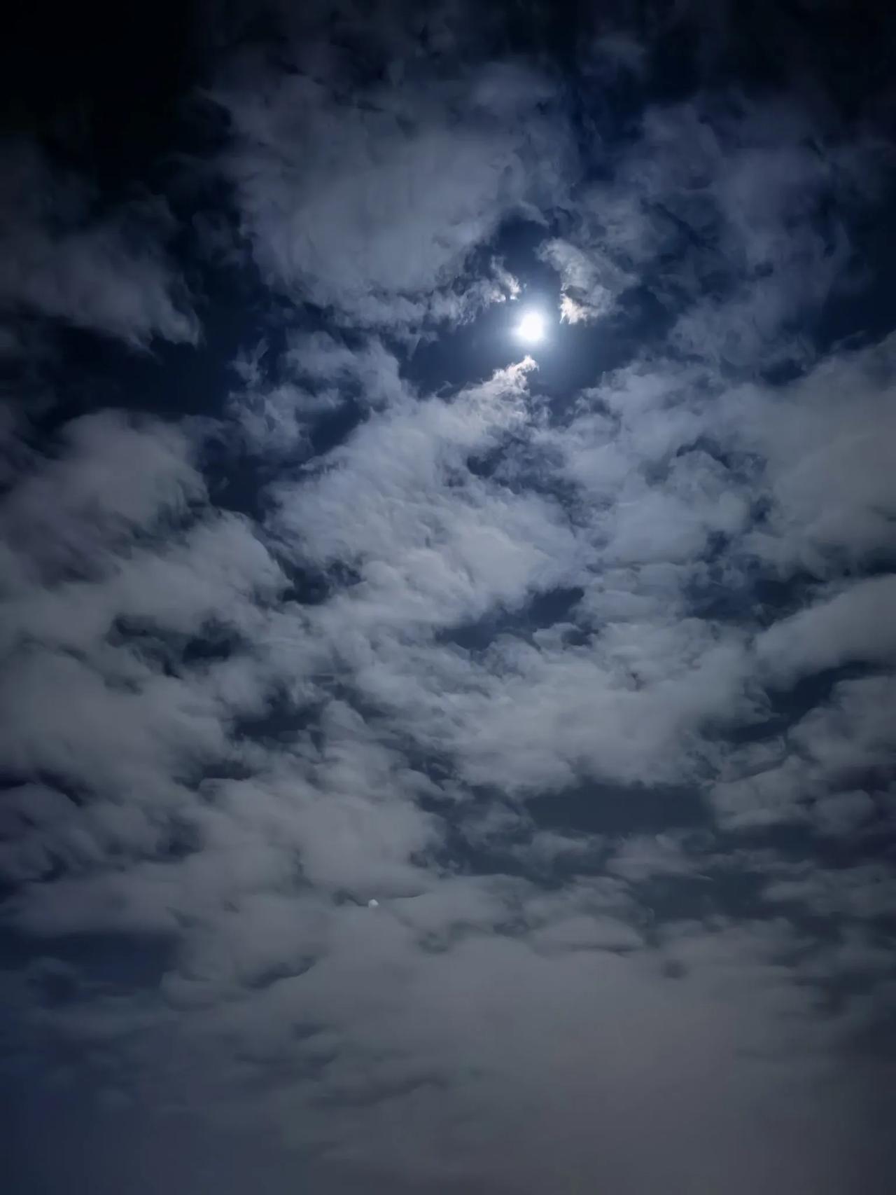 It is the south,
and You are the moon.