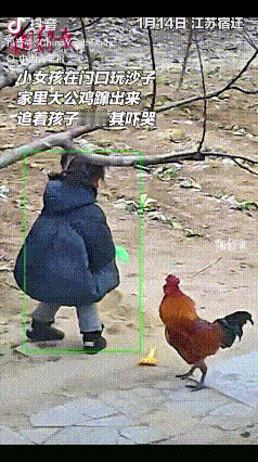 “网友太有才了！”宿迁，女子带女儿回娘家小住，女儿在门口玩沙子，突然家里的大公鸡