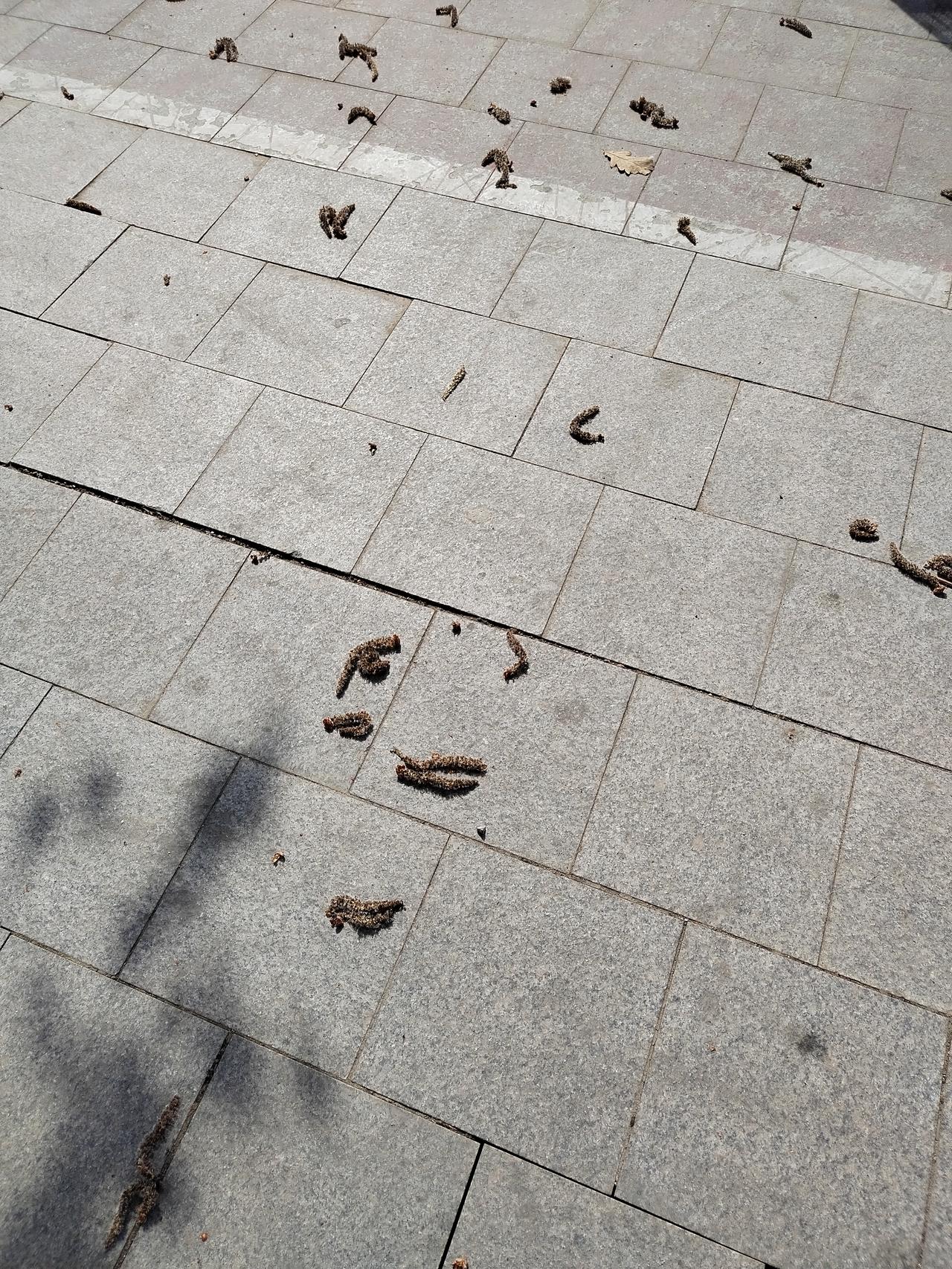 谁把你当成情绪垃圾桶，谁就是看不起你。
别傻乎乎的以为他是把你当自己人，实际上他