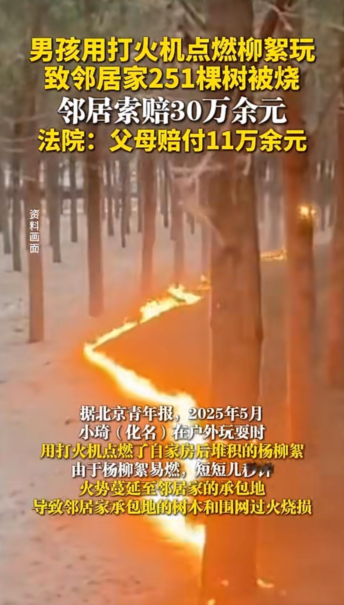 “熊孩子！”小孩贪玩点了飘着的柳絮，居然烧了邻居200多棵树，爸妈直接赔了11万