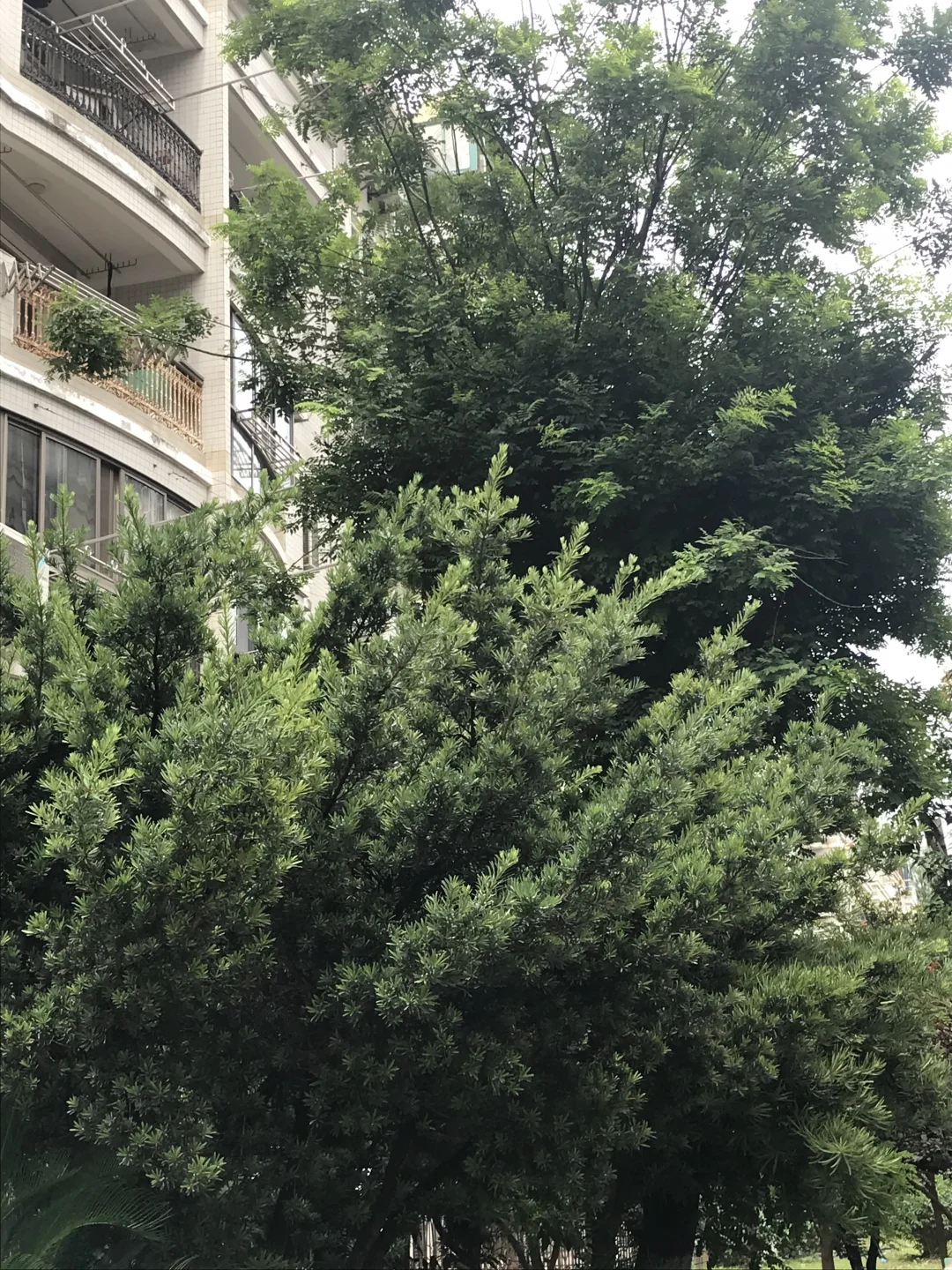 出门逛逛去