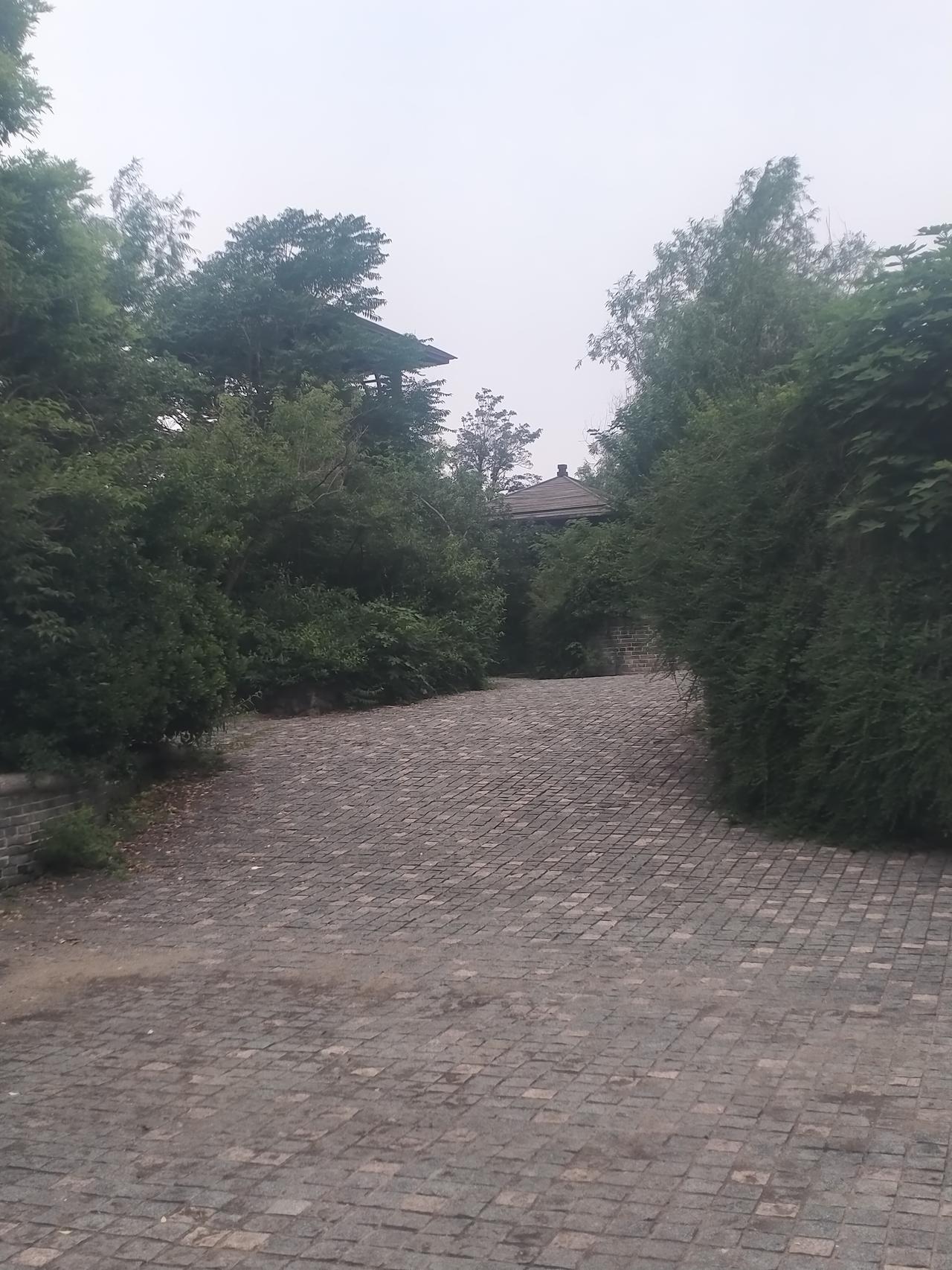 随手拍。